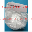 6157-87-5 Trestolone Acetate Powder 99% Purity Legal Anabolic Steroids