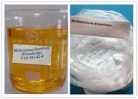 White Powder Injectable Anabolic Steroids Primobolan Methenolone Enanthate CAS 303-42-4