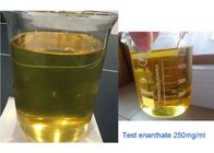 Yellow Oil Anabolic Injection Steroids Testosterone Enanthate Steroid Hormone 250mg/ml