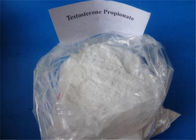 Oral Steroid Trenbolone Powder CAS 57-85-2 Pharmaceutical Intermedia Test Propionate Injection