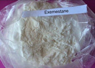Exemestane Anti Estrogen Steroids CAS 107868-30-4 White Powder Breast Cancer Treatment Drug