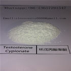 White Bodybuilding Steroids Hormone CAS 58-20-8 Testosterone Cypionate