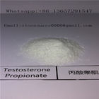Mass Gaining Legal Anabolic Steroids Testosterone Propionate CAS 57-85-2 White Powder