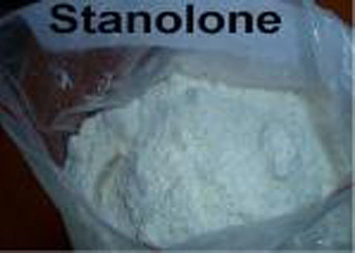 Androstanolone Stanolone Muscle Building Steroids CAS 521-18-6 99% Purity