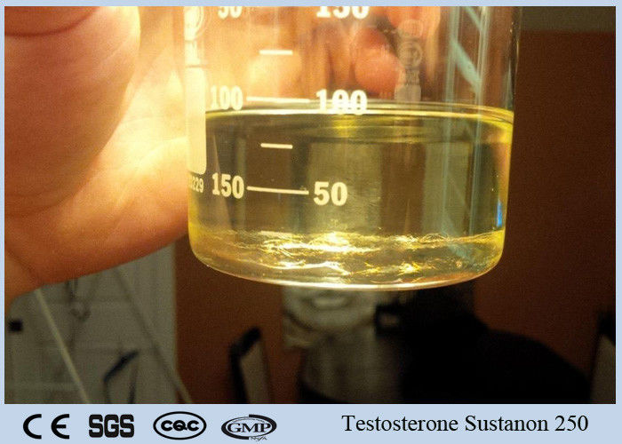 Test Blend 250mg/ml  Injectable Bodybuilding Anabolic Steroids Testosterone Sustanon 250 Yellow oil Liquid
