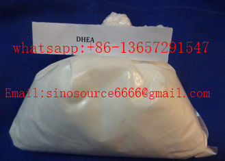 Anabolic Steroid Powder Dehydroisoandrosterone (DHEA) For Bodybuilding CAS 53-43-0