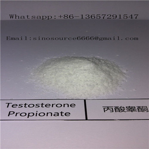 Legal Muscle Building Steroids Injectable Test P 57-85-2 Testosterone Propionate For Men