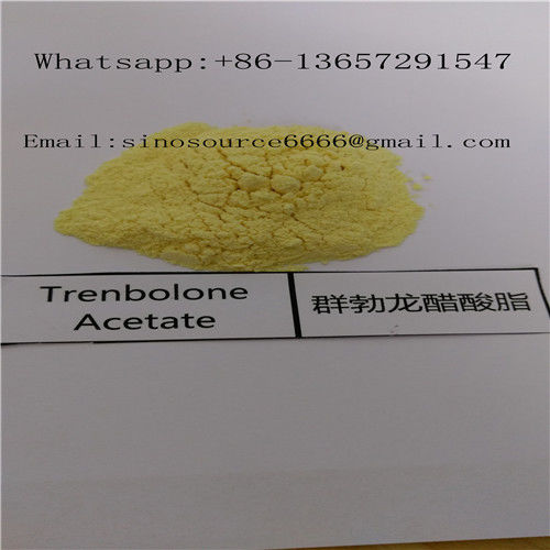 Healthy Oil Based Steroids , Trenbolone Acetate Steroid 100 Tren Ace 100mg/ml