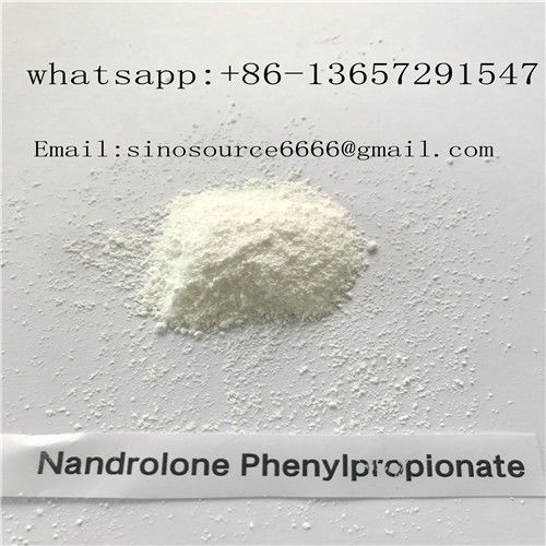 CAS 62-90-8 DECA Muscle Supplement , Nandrolone Phenylpropionate​ Gainning Muscle Lose Fat Steroids