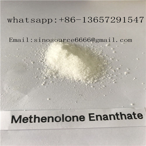 White Powder Injectable Anabolic Steroids Primobolan Methenolone Enanthate CAS 303-42-4