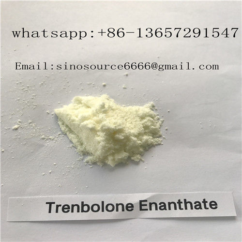 Muscle Building Steroids Trenbolone Powder Enanthate Finabolan 99% Purity CAS 472-61-546