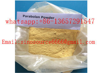 Muscle Natural Bodybuilding Steroids Powder , Trenbolone Hexahydrobenzyl Carbonate CAS 23454-33-3