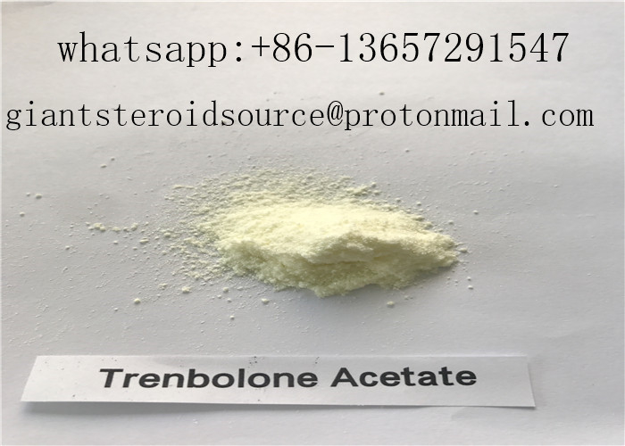 Yellow Hormone Supplement Steroid Trenbolone Acetate Powder For Muscle Growth